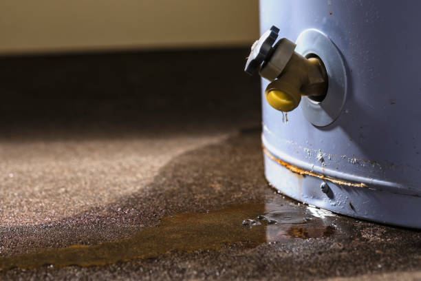 Water damage restoration mold remediation in MN