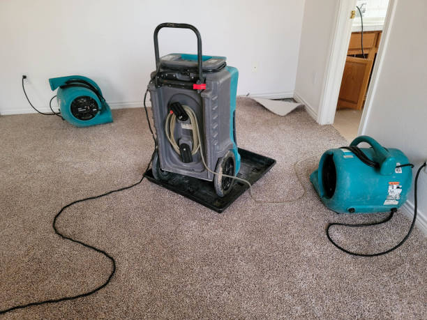 Best 24-hour water damage restoration  in Coon Rapids, MN