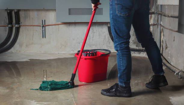 Best Water damage repair service  in Coon Rapids, MN