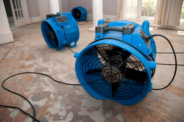 Best Sewage cleanup and water damage restoration  in Coon Rapids, MN