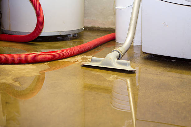 Best Emergency water damage restoration  in Coon Rapids, MN