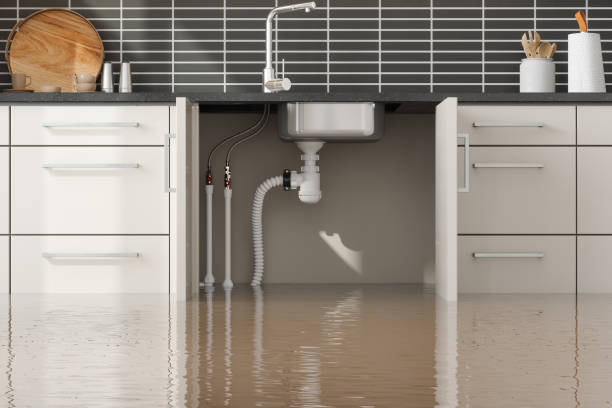 Best Emergency water extraction  in Coon Rapids, MN