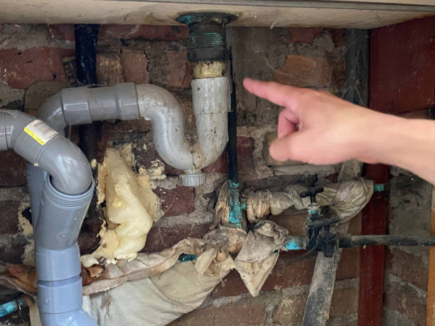  Coon Rapids, MN Water damage restoration Pros