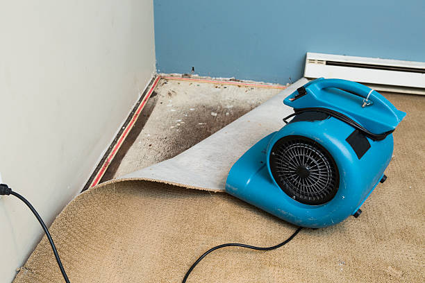 Best 24/7 water damage repair  in Coon Rapids, MN